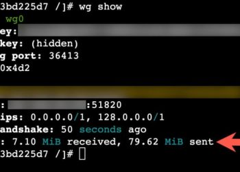 Using Wireguard with your Synology Docker Containers