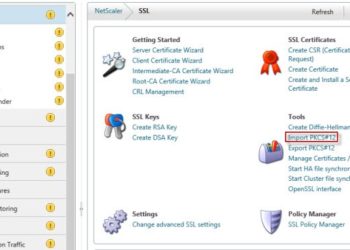 Import IIS SSL Certificate to Citrix NetScaler