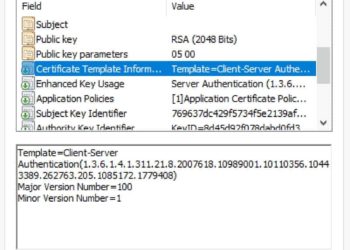Windows Server 2019 Two-Tier PKI CA Pt. 3