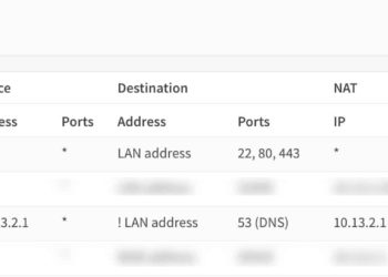 How-To: Redirect hardcoded DNS to OPNsense