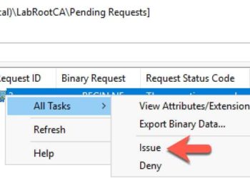 Windows Server 2019 Two-Tier PKI CA Pt. 2