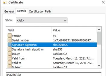 Convert your Microsoft CA from RSASSA-PSS to sha256RSA