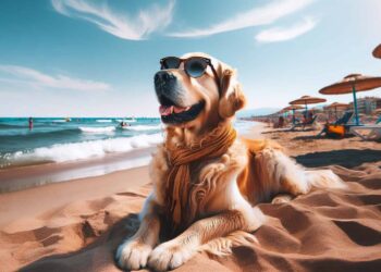 Geek Chic Eyewear: My Optometrist Saga, Eyewear Collection & More